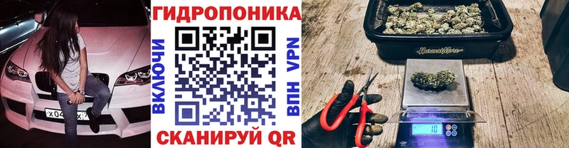 Купить закладку COCAIN Псилоцибиновые грибы Гашиш Меф Сковородино