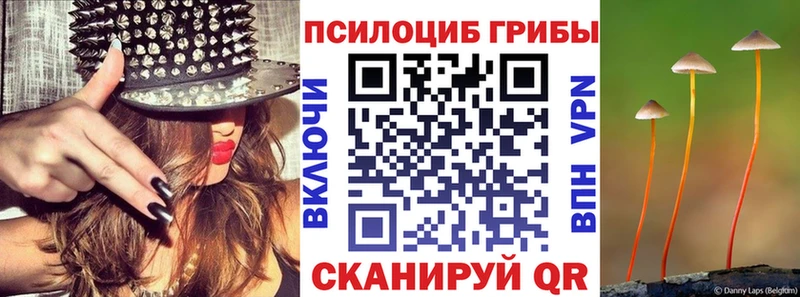 Купить закладки  Сковородино  Галлюциногенные грибы прущие грибы 